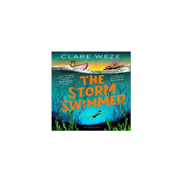 The Storm Swimmer -