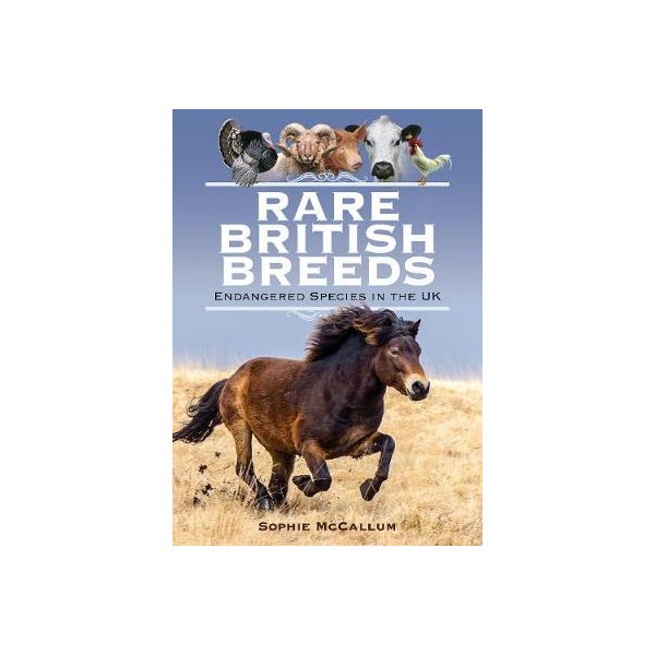 Rare British Breeds -