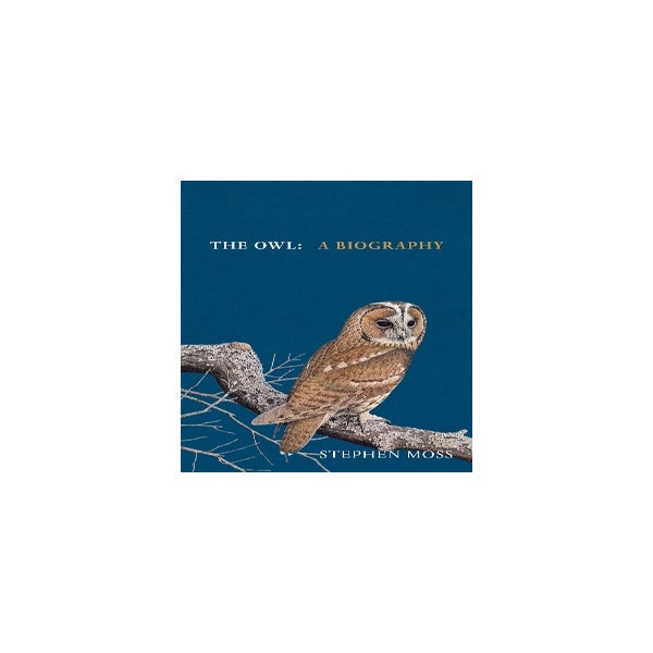 The Owl -