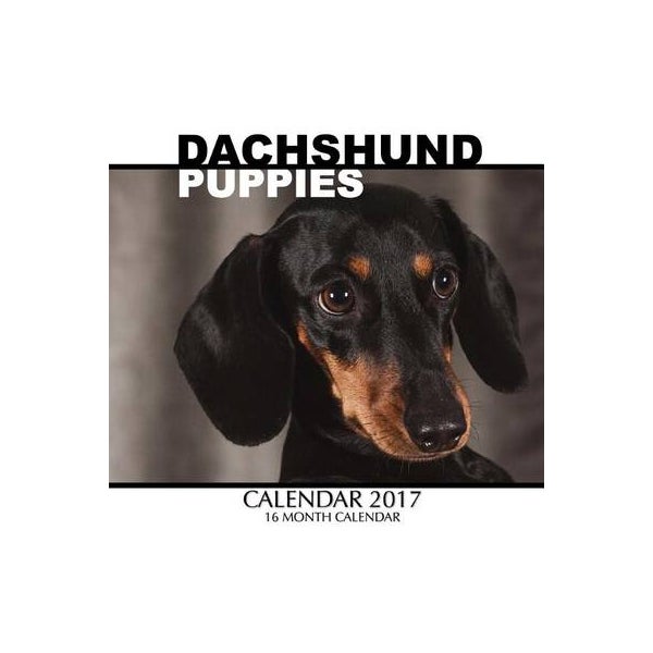 Dachshund Puppies Calendar 2017 -