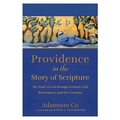 Providence in the Story of Scripture by Adamson Co | Paper Plus
