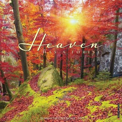 Heaven Has a Forest 2025 12 X 12 Wall Calendar by Willow Creek Press