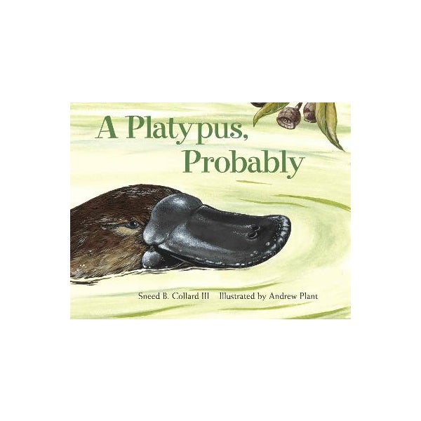 A Platypus, Probably -