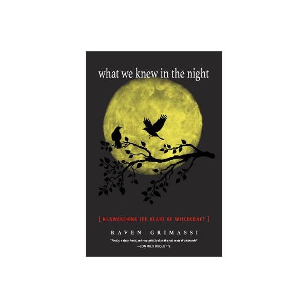 What We Knew in the Night -