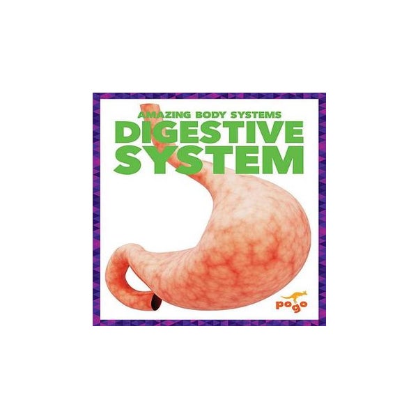 Digestive System -
