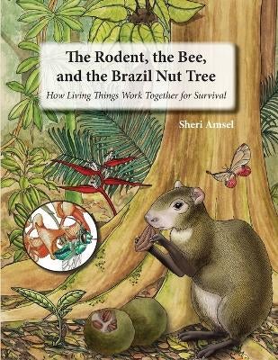 The Rodent, the Bee, and the Brazil Nut Tree by Sheri Amsel | Paper Plus