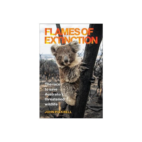 Flames of Extinction -