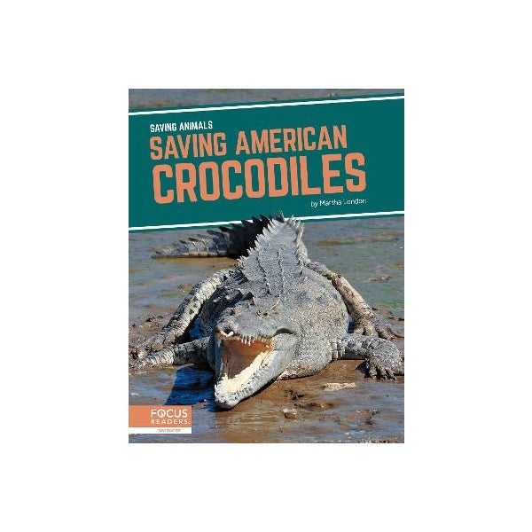 Saving Animals: Saving American Crocodiles -