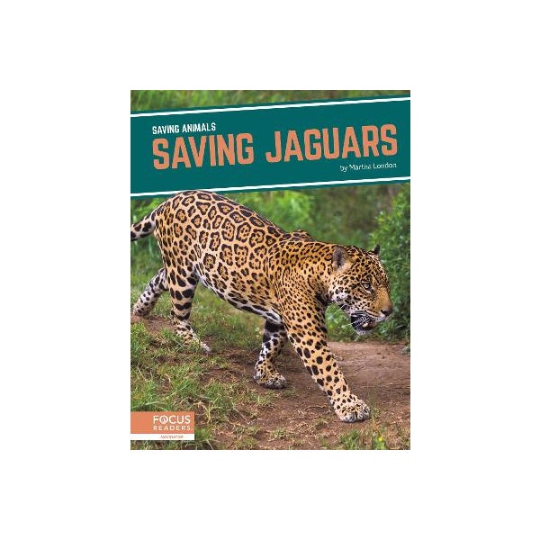 Saving Animals: Saving Jaguars -