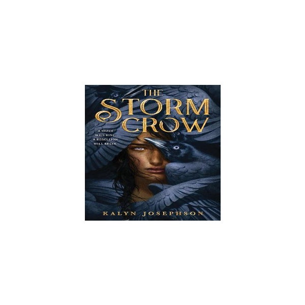 The Storm Crow -