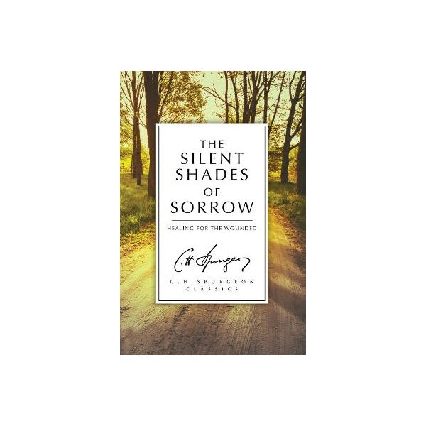 The Silent Shades of Sorrow -
