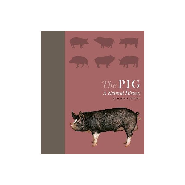 The Pig -