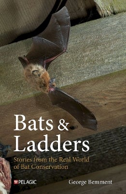 Bats & Ladders by George Bemment | Paper Plus