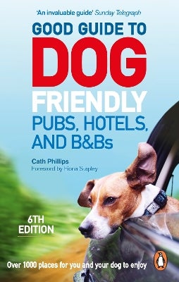 Friendly Hotel Places For Dogs To Stay Near Me Pet Friendly Best