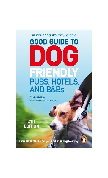 Friendly Hotel Places For Dogs To Stay Near Me Pet Friendly Best