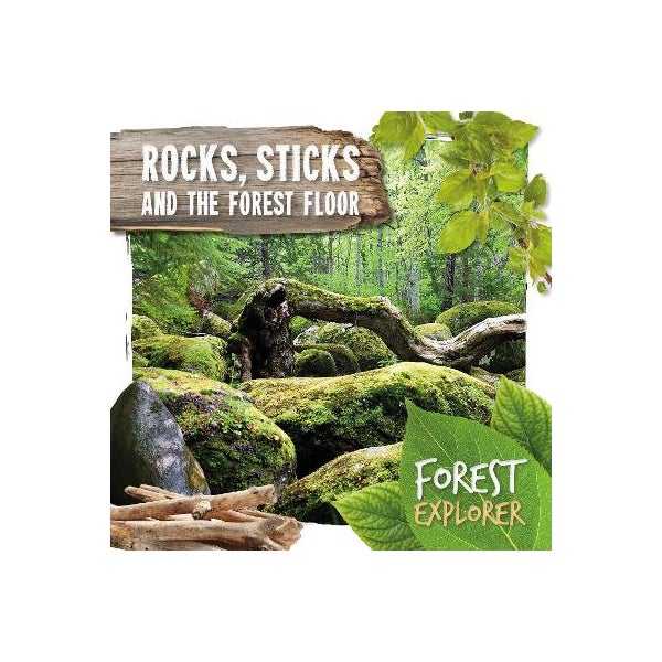 Rocks, Sticks & the Forest Floor -
