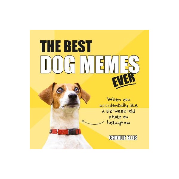 The Best Dog Memes Ever -