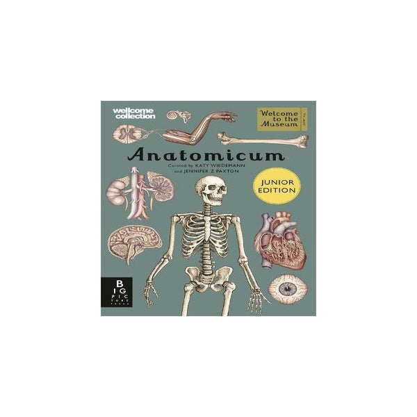 Anatomicum Junior -