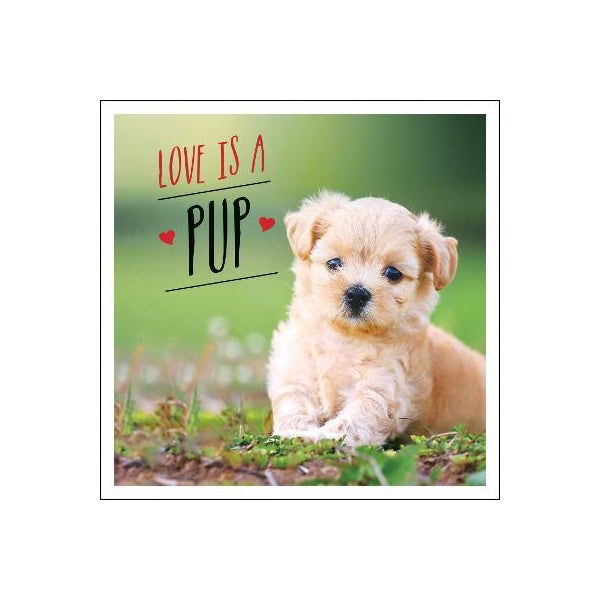 Love is a Pup -