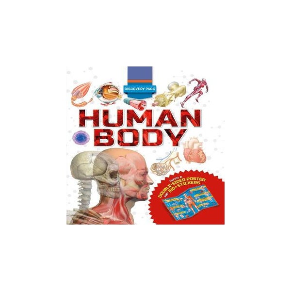 Discovery Pack: Human Body -