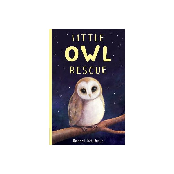 Little Owl Rescue -