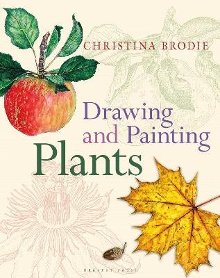 Drawing and Painting Plants by Christina Brodie Paper Plus