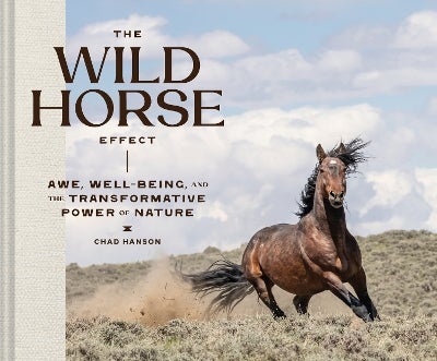 The Wild Horse Effect by Chad Hanson | Paper Plus