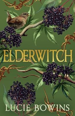 Elderwitch by Lucie Bowins | Paper Plus