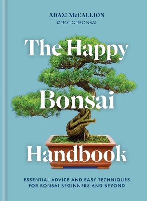 juniperus media old gold bonsai Wacholder-Bonsai (Juniperus media Old Gold), Hhe 80100 cm, gelb   Adenandra