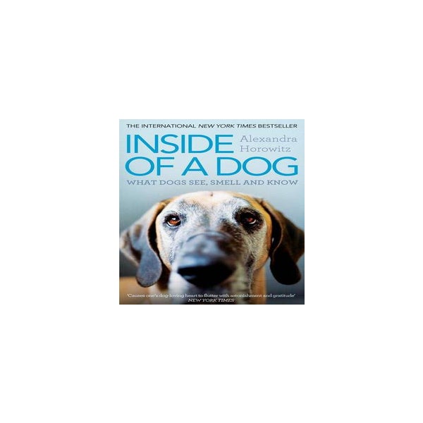 Inside of a Dog -