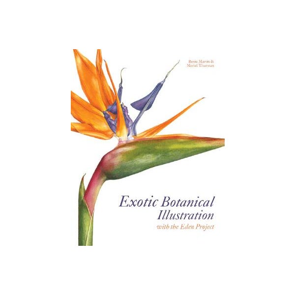 Exotic Botanical Illustration -
