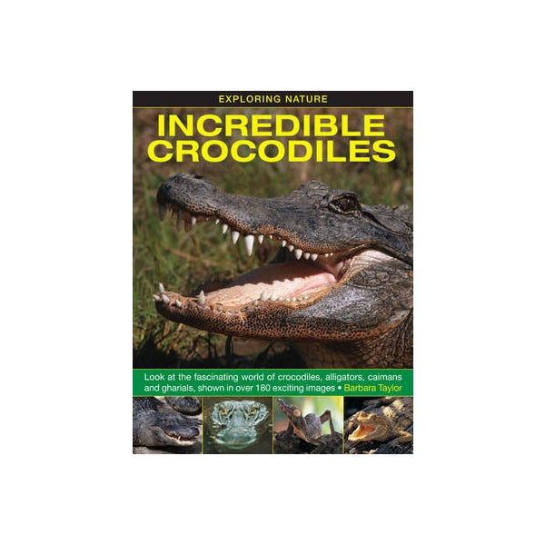 Exploring Nature: Incredible Crocodiles -