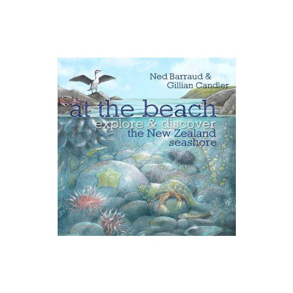 At the Beach: Explore & Discover the New Zealand Seashore -