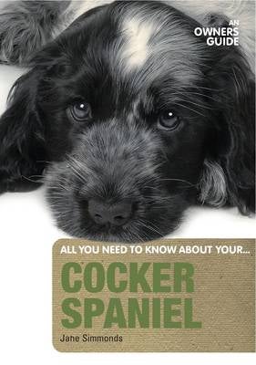 Cocker Spaniel by Jane Simmonds | Paper Plus