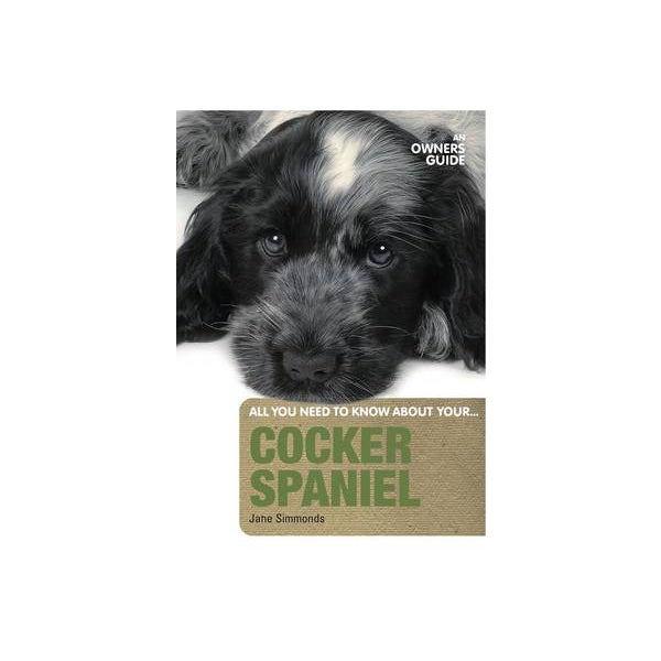 Cocker Spaniel -