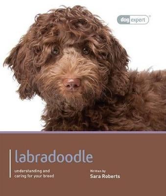 Labradoodle Dog Expert