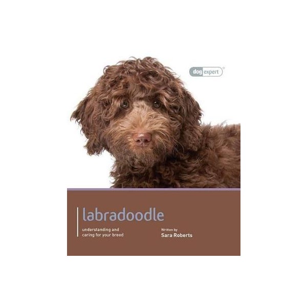 Labradoodle Dog Expert