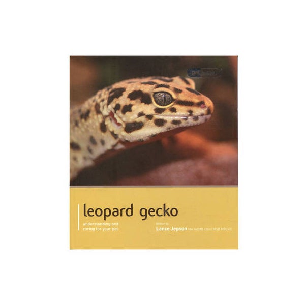 Leopard Gecko - Pet Expert -