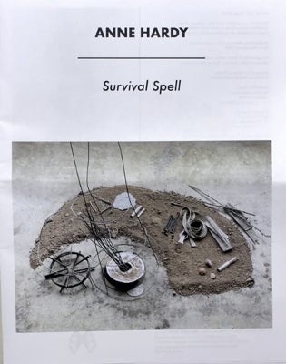 Survival Spell by Anne Hardy | Paper Plus