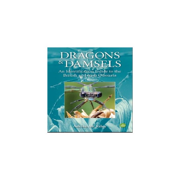 Dragons and Damsels -