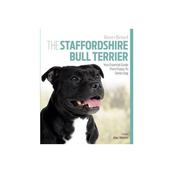 Best of Breed Staffordshire Bull Terrier -