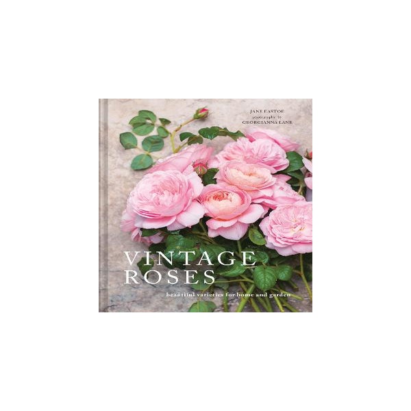 Vintage Roses -