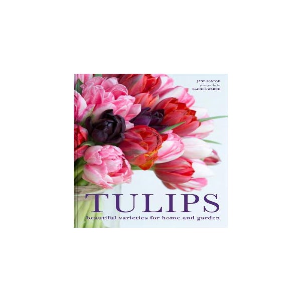 Tulips -