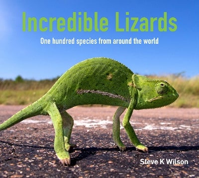 Incredible Lizards by Steve K. Wilson | Paper Plus