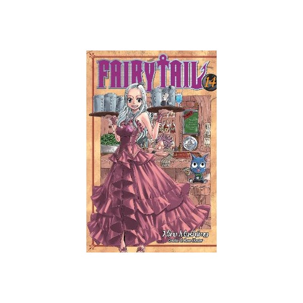 Fairy Tail 14 -
