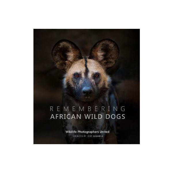 Remembering African Wild Dogs -