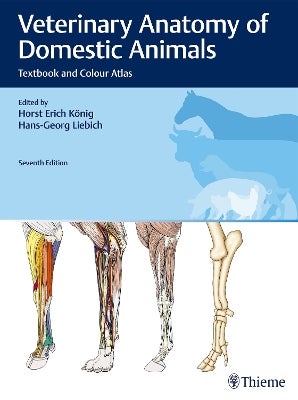 Veterinary Anatomy of Domestic Animals by | Paper Plus