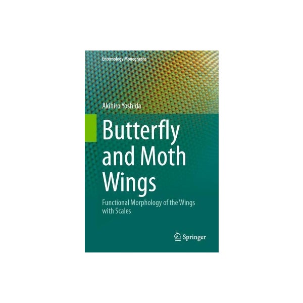 Moth 404 Books - Paper Plus