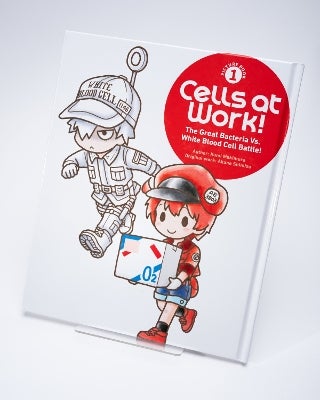 Cells at Work! Picture Book 1: The Great Bacteria Vs. White Blood Cell ...