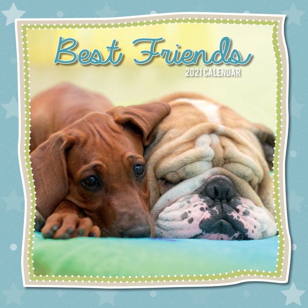 Best Friend 2021 Calendar Paper Plus best friend calendar 2021